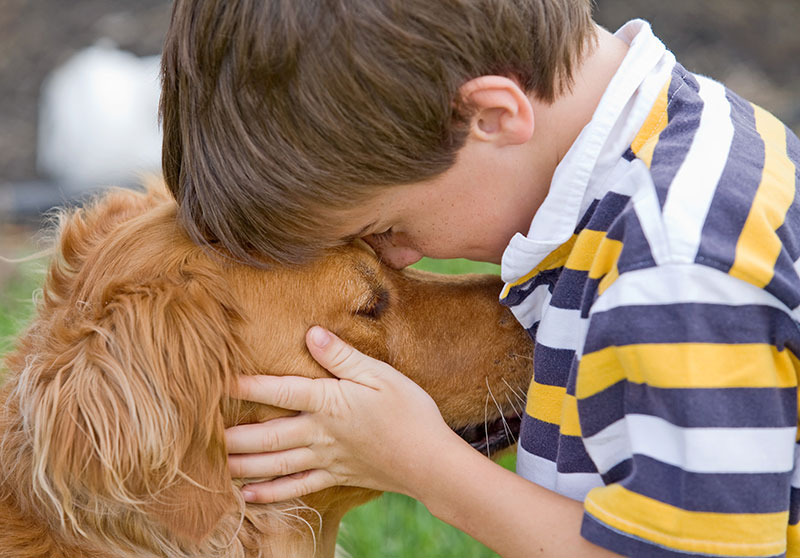 Fixing Fido: Do the Right Thing for Your Family Pet