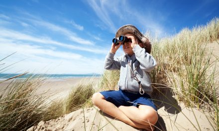 Family Time Bird Watching