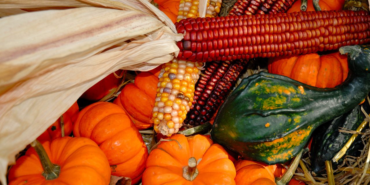 Native Peoples of the Delta: Celebrate Thanksgiving by Exploring Culture