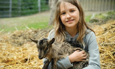 Family Fun on the Farm
