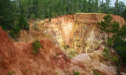 The Hidden Treasures of Mississippi: Family’s Day Out