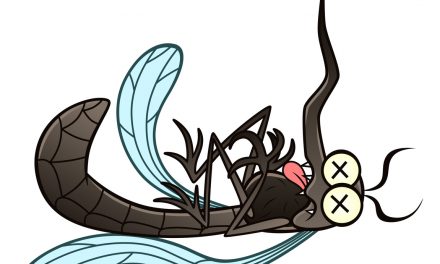 What’s Bugging You? 