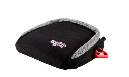 Random Stuff That Rocks: BubbleBum Booster Seat