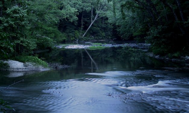 D’Lo Water Park – a natural pool, open all year long