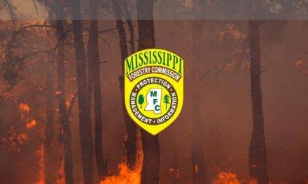 Statewide Burn Ban in Effect