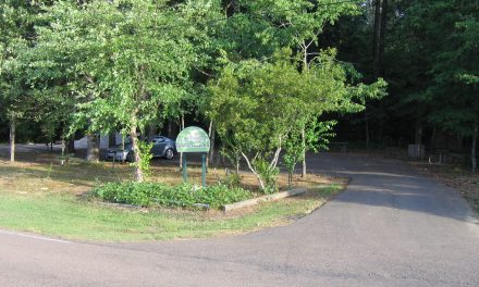 Simmons Arboretum is Open