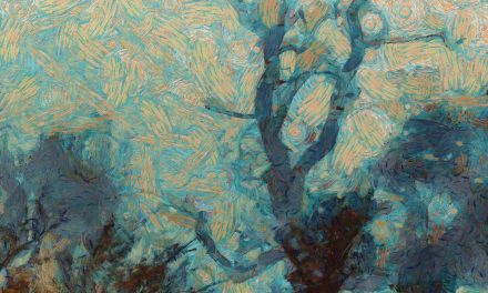 Art Contest for Teens