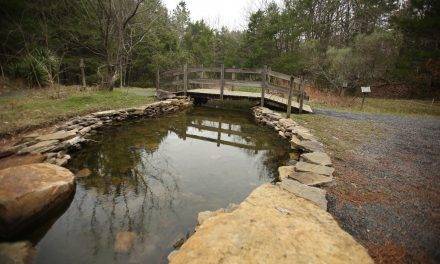 Trails Remain Open at Clinton Community Nature Center