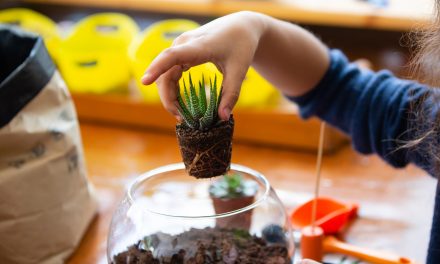 Social Distancing Boredom-Buster for Kids: Grow Plants from Cuttings!