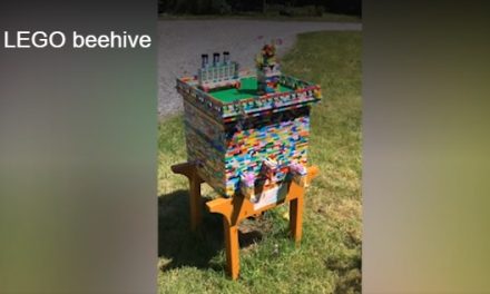 Man Shares His Lego Beehive