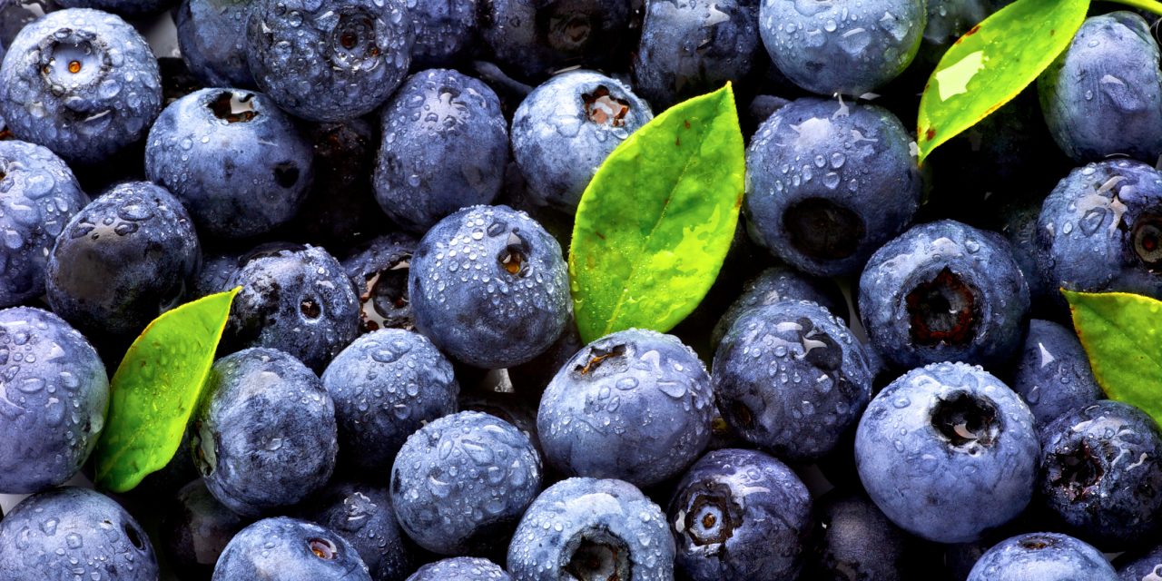 Blueberry Season is HERE!