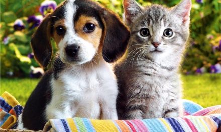 Birthday Fun with Puppies and Kittens in Natchez, MS