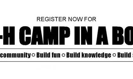 4-H Offers Camp in a Box