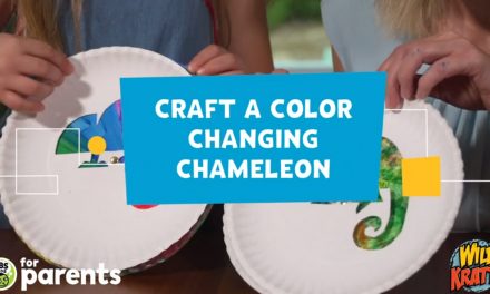 Make a Chameleon