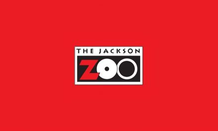 Treats Inspired by the Jackson Zoo Keepers