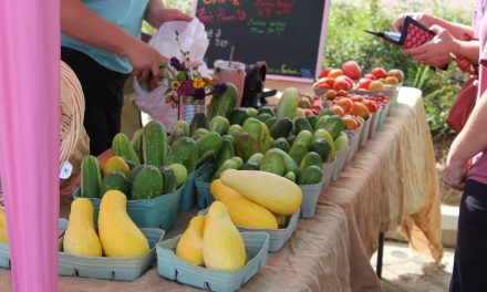 Farmers Market This Thursday in Brandon