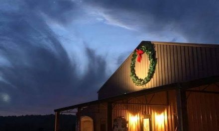 Have a (Snow)Ball This Holiday Season