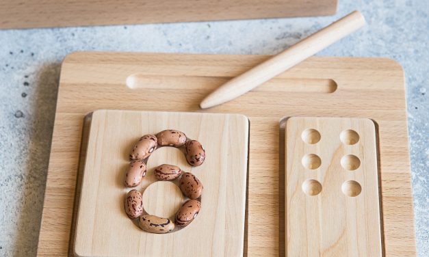 Montessori at School… OR at Home