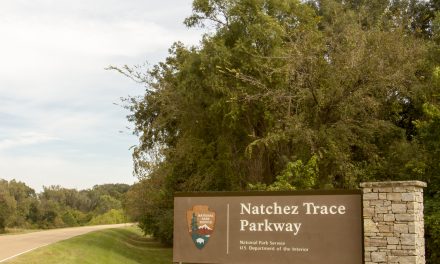 Adventure Close to Home: The Natchez Trace Parkway