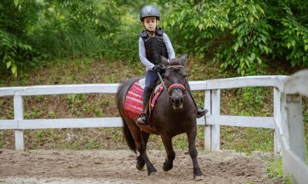 My Child Wants a Horse! Can We Do This?