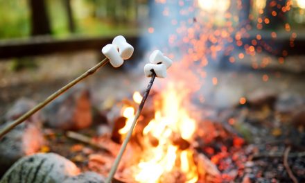 Camp Revamp: Gearing Up For Summer Amid The Pandemic