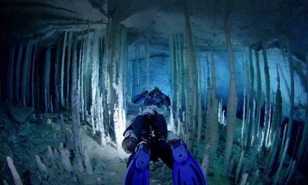 TN Aquarium offering Ancient Caves 3D screenings April 23-25