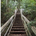 Enjoy Nature and Native American History in Union County