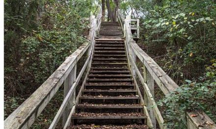 Enjoy Nature and Native American History in Union County