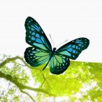 Summertime Can Be a Fun Time for Children and Families