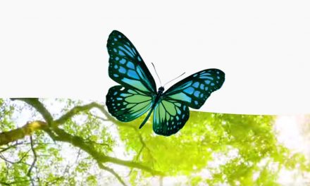 Summertime Can Be a Fun Time for Children and Families