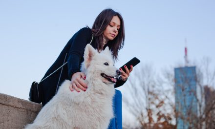 Fitness App for All Dog Lovers