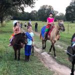 Falling for Fall Family Traditions in South Mississippi