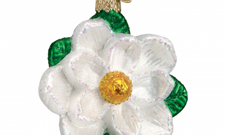 Random Stuff That Rocks: Make Your List And Check It Twice