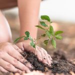 Grow with Nature at the Crosby Arboretum