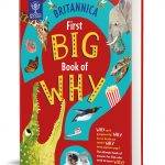 Random Stuff That Rocks