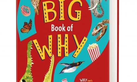 Random Stuff That Rocks