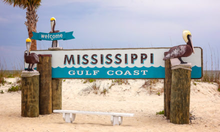 Getting to Know THE COAST: A Guide for New Families