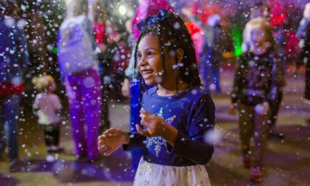 Tis the Season to be… Snowy!