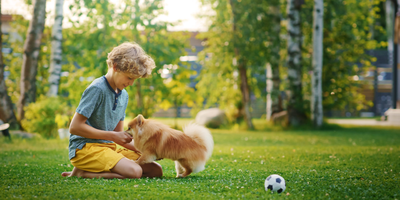 5 Benefits of Raising a Kid with a Pet
