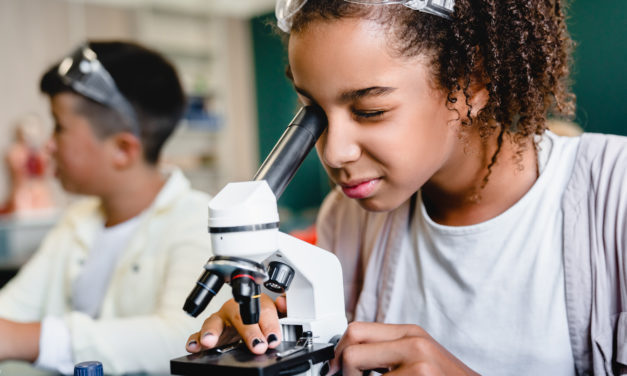 National STEM Day Celebrate with Geomagworld