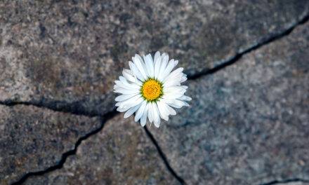 Life After 9/11- Inspiring Tips From Survivors Who Started From Scratch