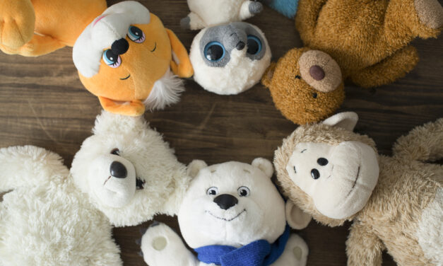 Can Stuffed Animals Be Donated?
