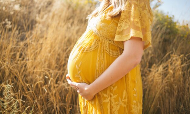 The Benefits of Working with a Surrogacy Consultant to Navigate the Process