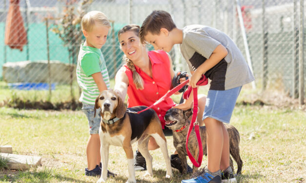 5 Types of People I Dread Seeing at the Dog Park